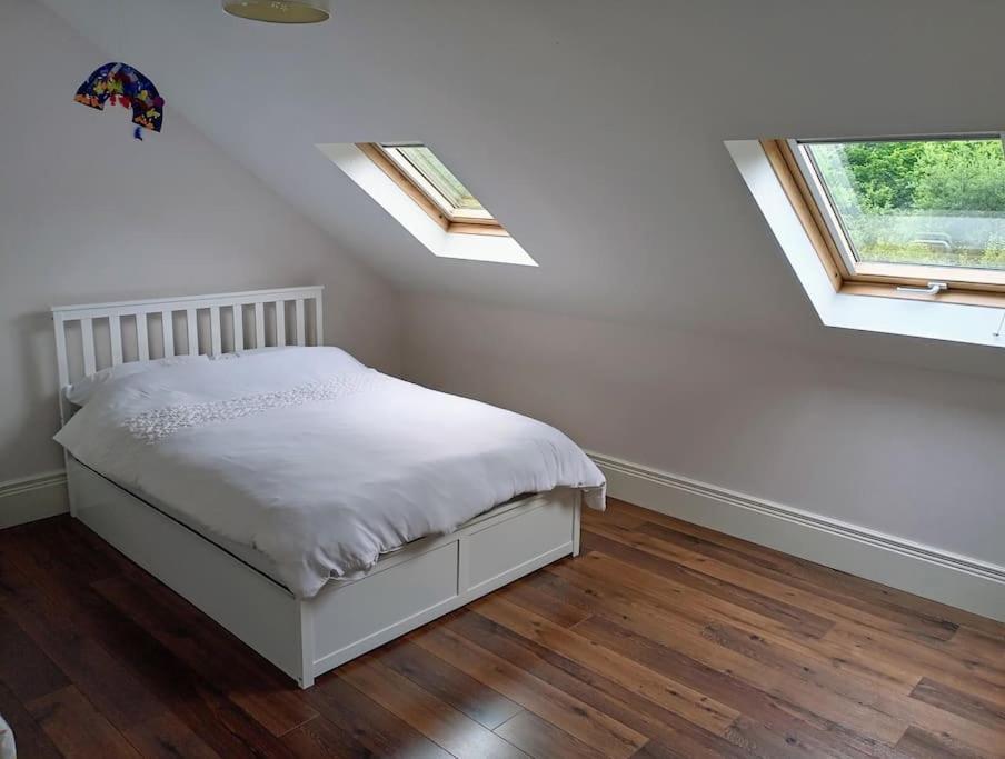 Conveniently Located House To Enjoy All Of Kerry Tralee Exteriör bild