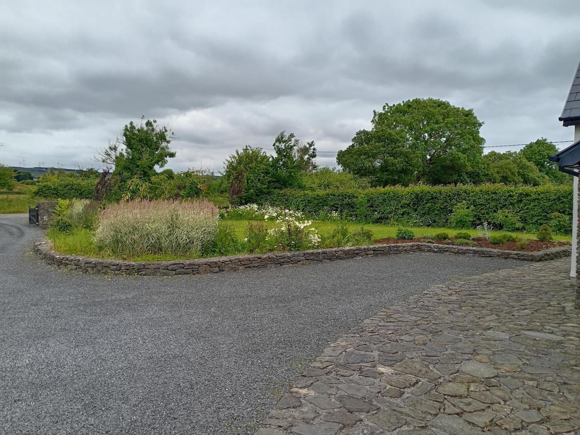 Conveniently Located House To Enjoy All Of Kerry Tralee Exteriör bild