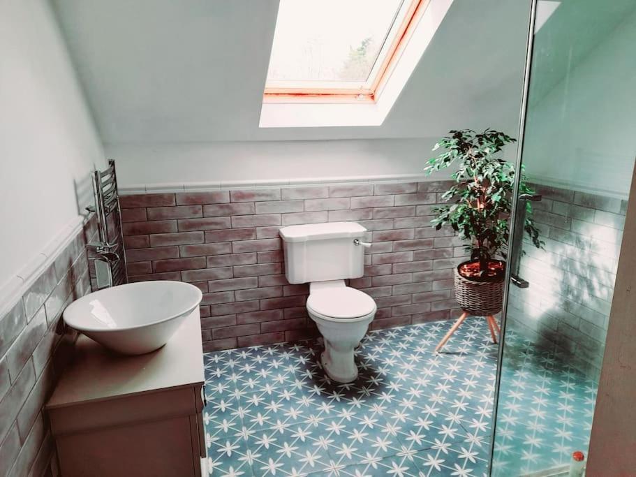 Conveniently Located House To Enjoy All Of Kerry Tralee Exteriör bild